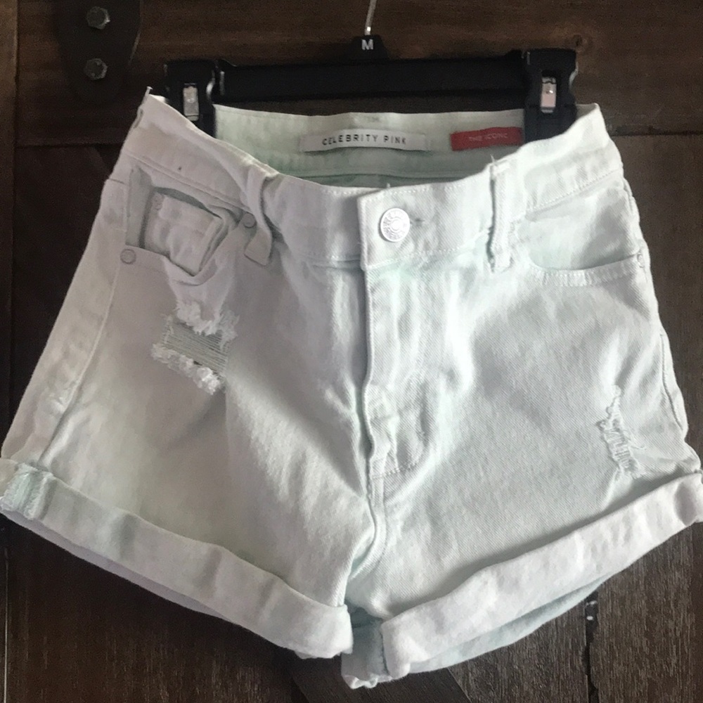 Celebrity Pink Seafoam colored Jean Shorts size 25